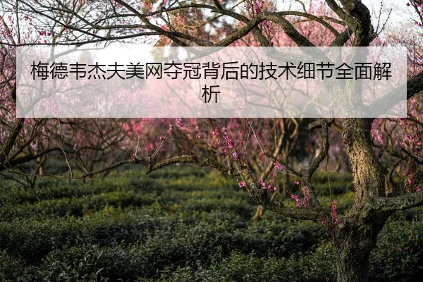 梅德韦杰夫美网夺冠背后的技术细节全面解析