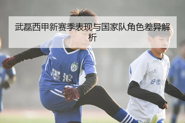 武磊西甲新赛季表现与国家队角色差异解析